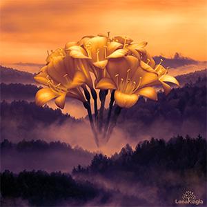 Imaginary World Flower above the clouds