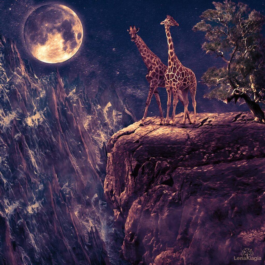 Giraffes on a cliff in a foggy night © Lena Kiagia | https://lenakiagia.com/